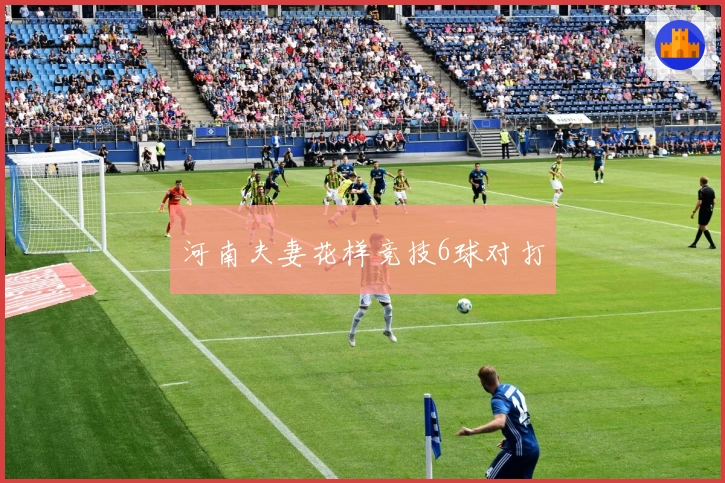 河南夫妻花样竞技6球对打