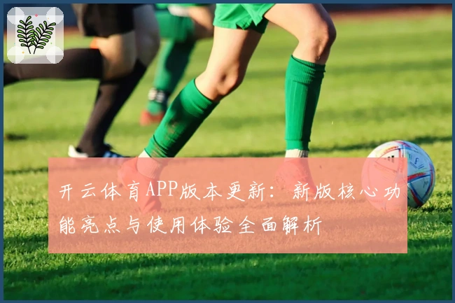开云体育APP版本更新:新版核心功能亮点与使用体验全面解析