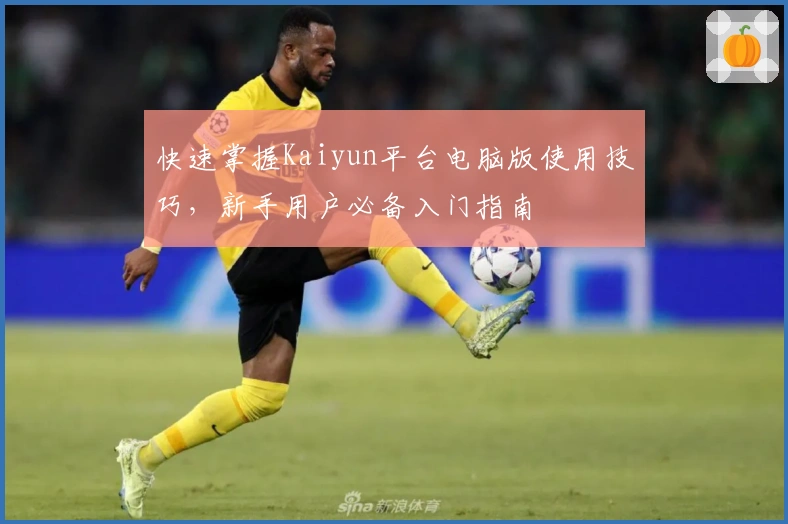 快速掌握Kaiyun平台电脑版使用技巧，新手用户必备入门指南